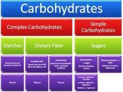Low Carb 101