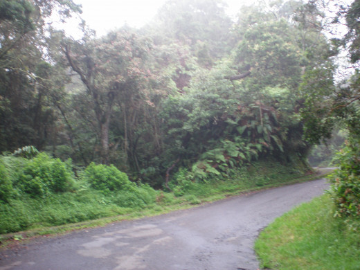 Winding road to the peak.