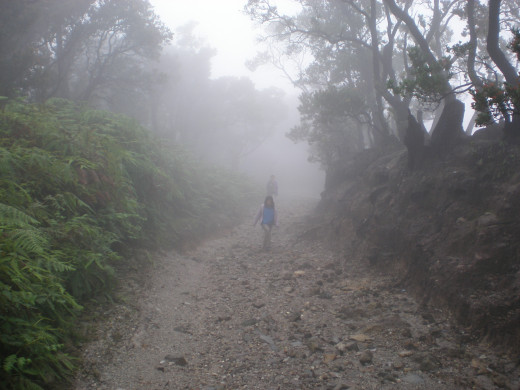 Climb up to Domas crater.