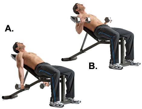 The biceps experience a great stretch at the bottom of the movement and are also completely extended, allowing for the largest possible range of motion.