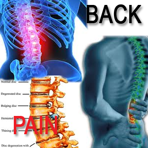 Help with Back Pain