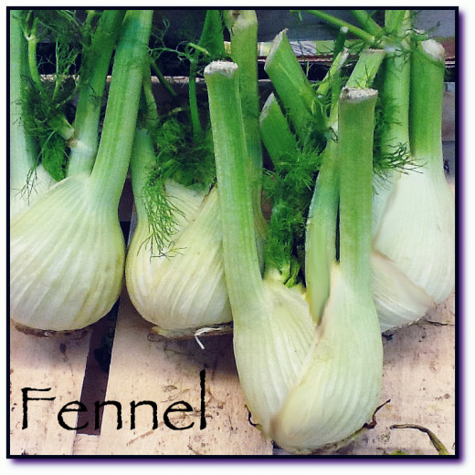 Fennel Health Benefits
