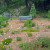 Becky's butterfly garden Becky's butterfly garden