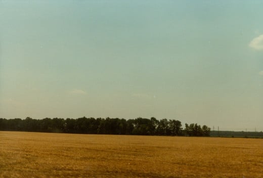 Hungarian Countryside