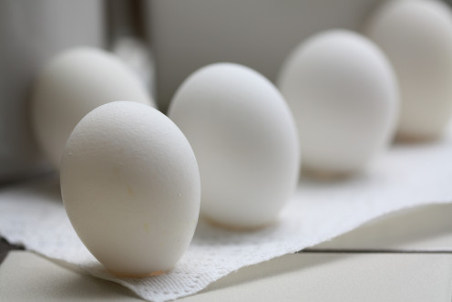 Eggs are quality lean protein. In fact, they are the perfect protein.