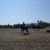 Riumar Beach, Spain - Dog's Beach - Horse Backriding Tour
