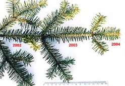 Evergreen Writing and Hubs