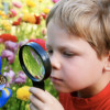 pupulv profile image