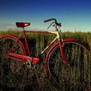 bicyclebill profile image
