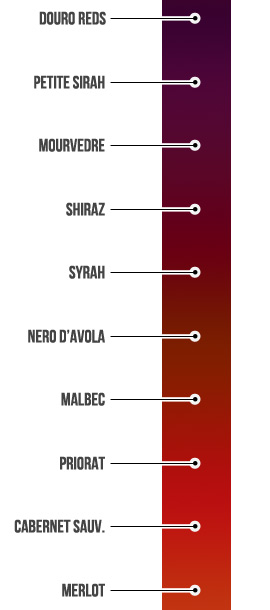 Types of grapes and the color of the wine. 