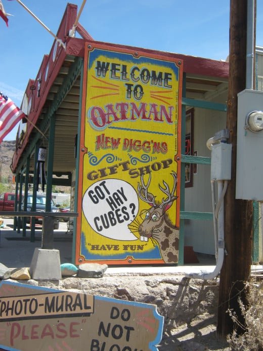Just one of many very funny signs hanging up on a building in Oatman, Arizona
