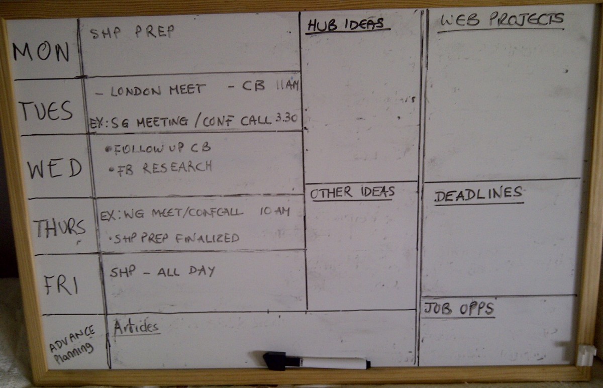 Work at Home Planner - You decide what sections to have on your Planner! For me the left hand side changes every week and the right hand side is for 'future' and ideas.