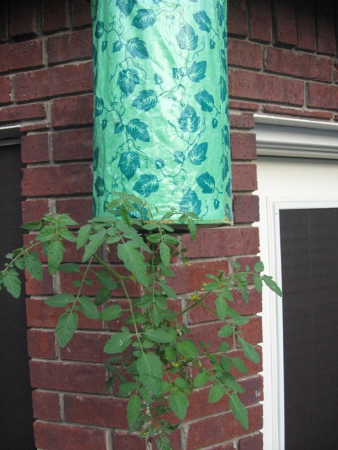 Topsy Turvy hanging planter