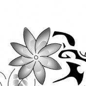 THE NINJETTE profile image