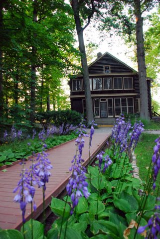 The Cabin in Wildflower Woods