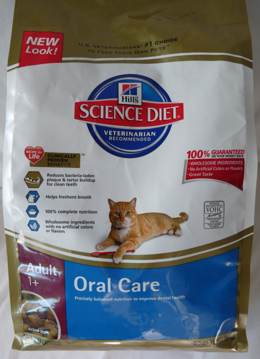 Cat Dental Care Products | hubpages