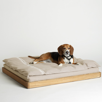 Simple and comfortable bed for dogs. Amazing, I love it!!
