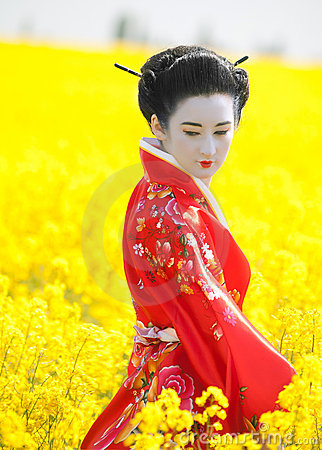 Japanese geisha kimono