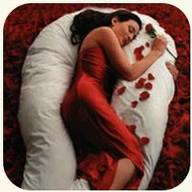 Petite Comfort U Total Body Support Pillow