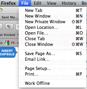 The drop down tab used to initiate a New Private Window on a MacBook.  It looks more or less the same on a PC.