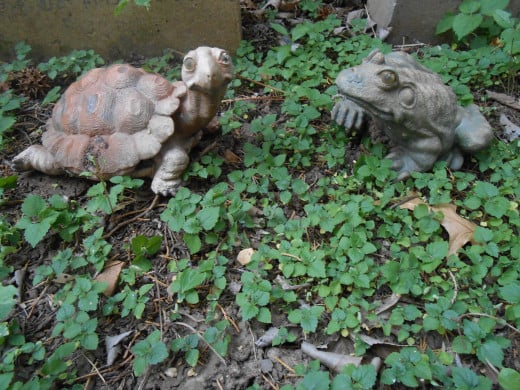 Turtle and frog figurines