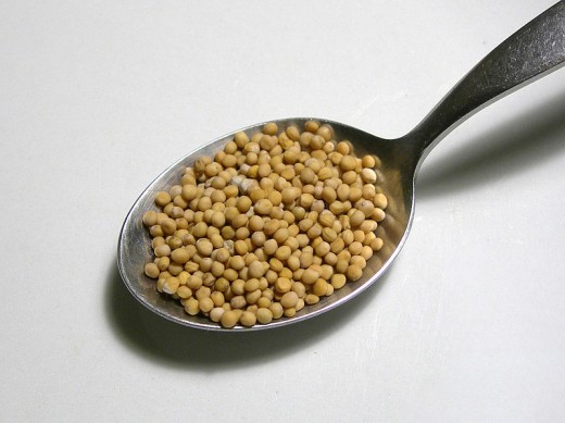 White mustard seeds are used to make spicy German mustard known as senf, one of my favorite mustards. 