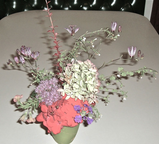 A late summer variety from my garden.