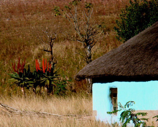 Tribal hut in Transkei