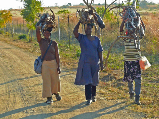 Swazi Women on way home