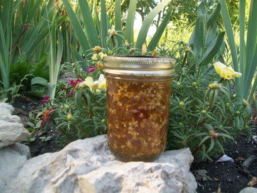 Elderflowers suspended in glowing amber gooseberry jam