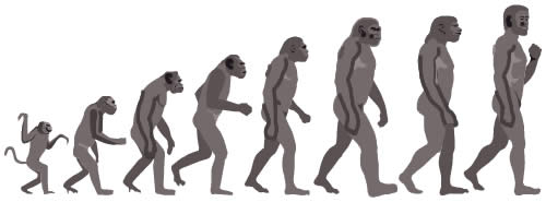 Evolution of man from apes