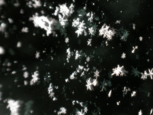 Snowflakes capture a true moment in time