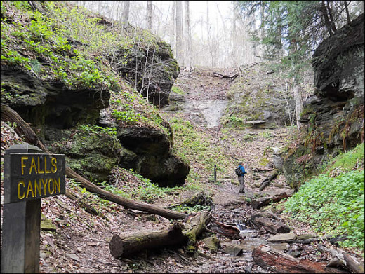 Falls Canyon