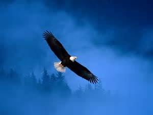 I want you all to spread your wings and fly