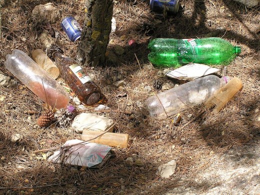 Garbage in pine forest