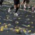 Berlin Marathon 2011. Disposed plastic cups 