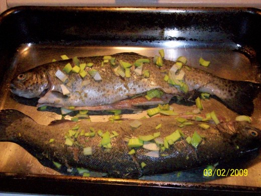 Terrific Trout Terrific Trout