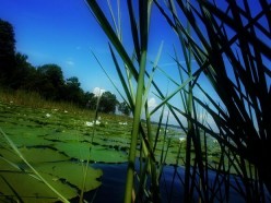 Best Cities to Live in Florida for Work