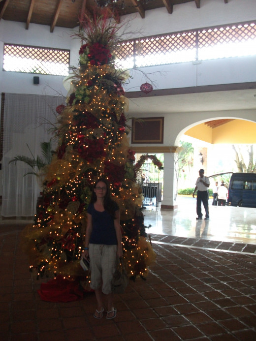 We visited the Occidental Grand during Christmas Break. They did a wonderful job of decorating for Christmas.