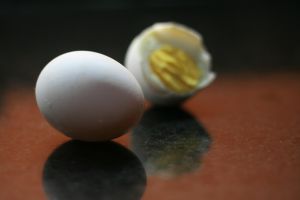 The egg white would be fine and the whole egg is still OK on the white diet.
