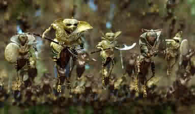 Weird little creatures