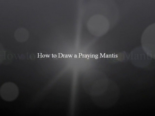 How To Draw A Praying Mantis