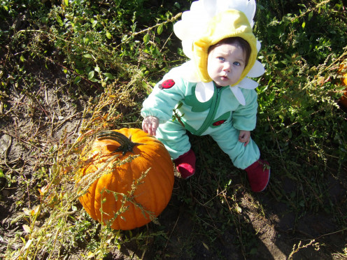 Using a pumpkin as a prop and also to show size of the child. 