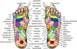 Discover Your  Acupuncture Points