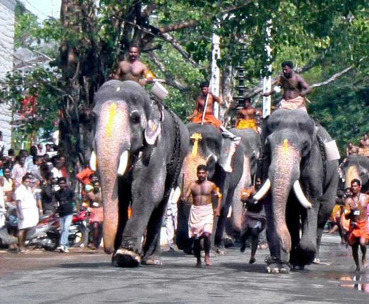 'Anayottam' (Elephant race) at Guruvayoor