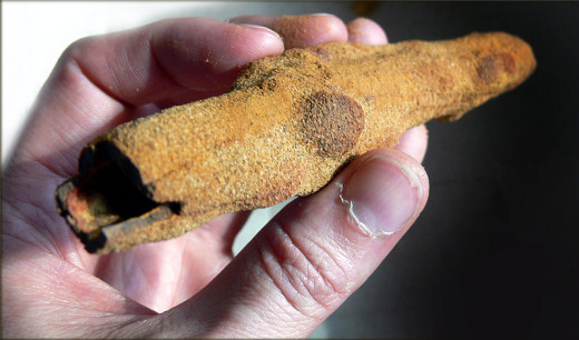Looking for fossils is a great hobby that can be turned into a career or retirement activity