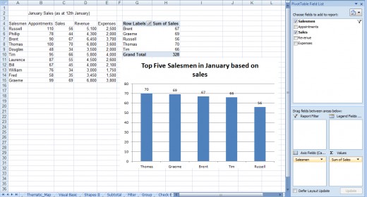 Example of a pivot chart showing the associated pivot table in Excel 2007 and Excel 2010.