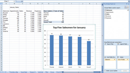 Example of a pivot chart created in Excel 2007 or Excel 2010.