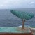 Nexus by Alex Kosmas. Made of bronze and measures 240 cm x 240cm x 100 cm. The artist statement "The fast paced world forgets its connection to nature. "Nexus" represents our life boat. Nexus by Alex Kosmas. Made of bronze and measures 240 cm x 240cm x 100 cm. The artist statement "The fast paced world forgets its connection to nature. "Nexus" represents our life boat.