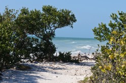 Haunted Florida: Pirate Ghost Stories